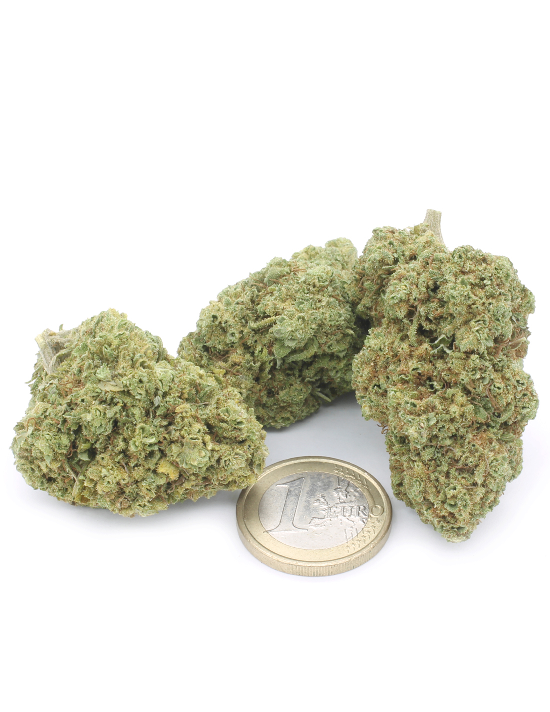Amnesia CBD - fiori CBD sativa da comprare online