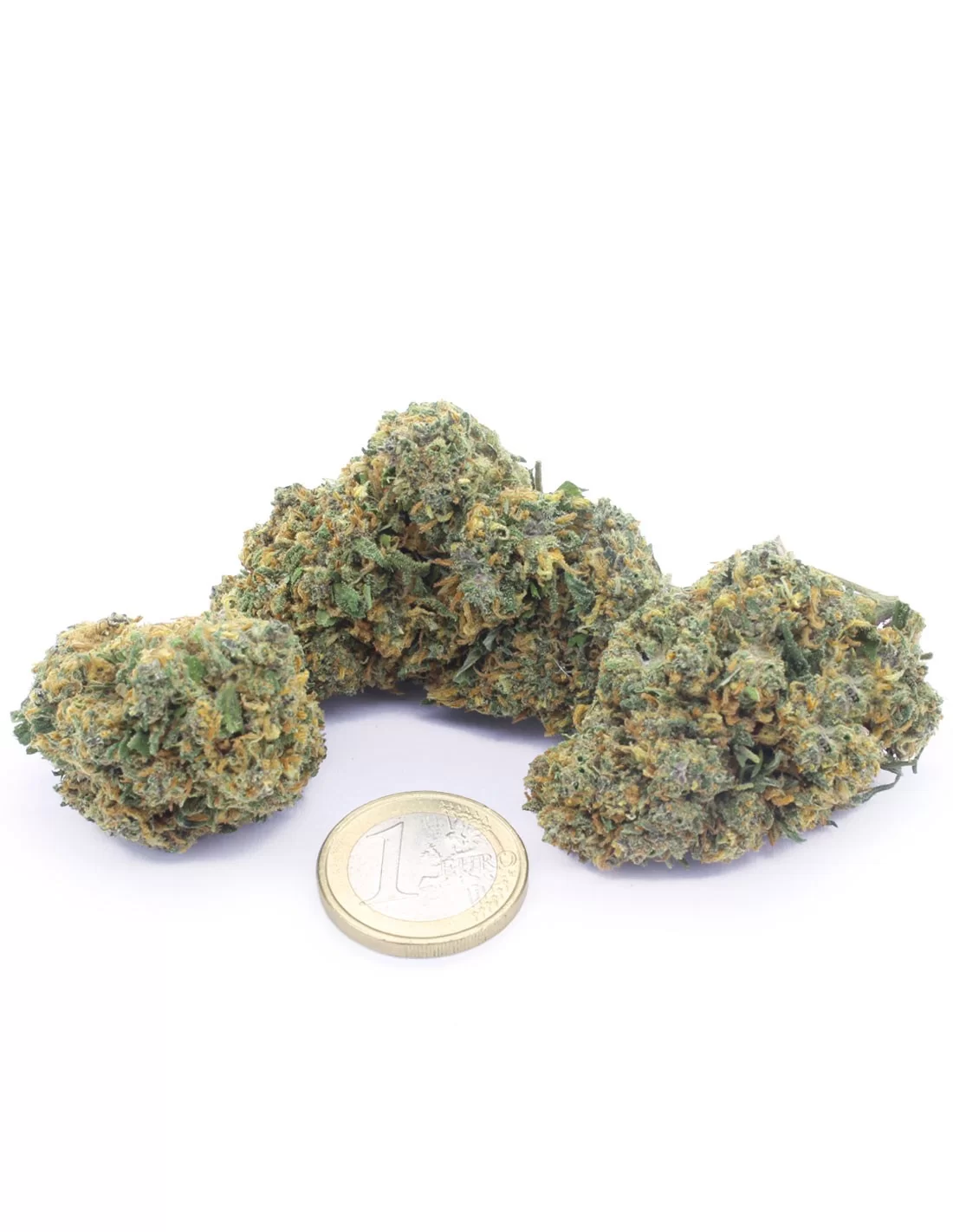 Biscotti CBD - fiori CBD