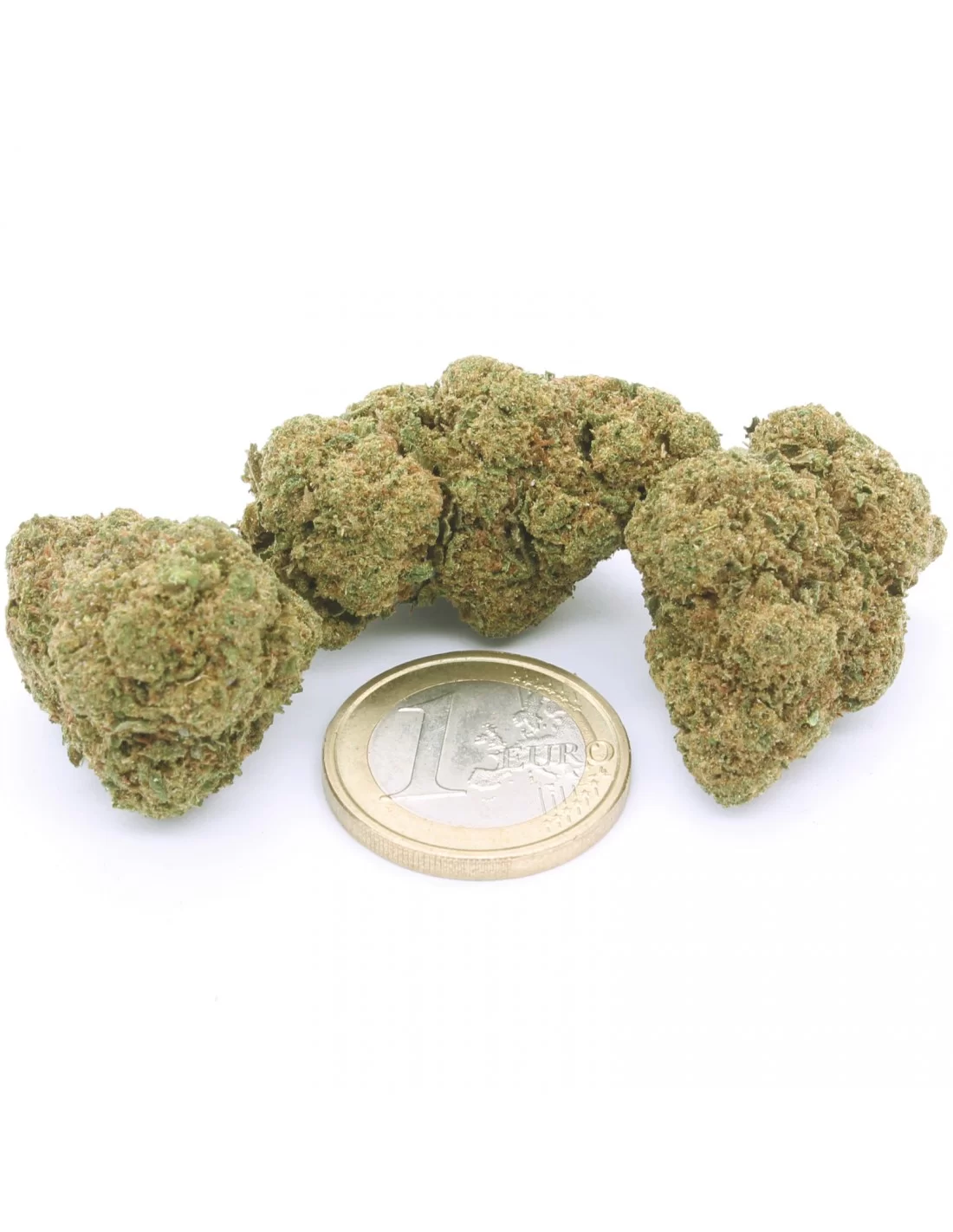 Super Silver Haze CBD - fiori CBD sativa